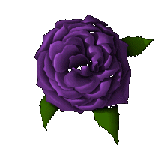 rose1.gif (6633 bytes)