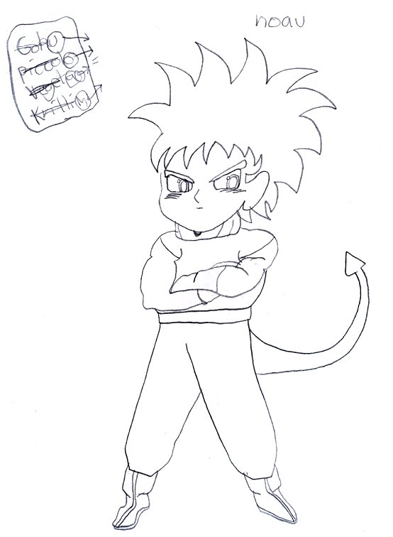 noau.jpg (45144 bytes)