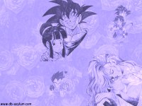 romwall.jpg (10205 bytes)