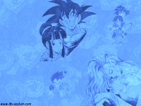 romwall2.jpg (9523 bytes)