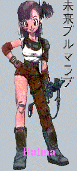 DB-Bulma007.gif (24287 bytes)