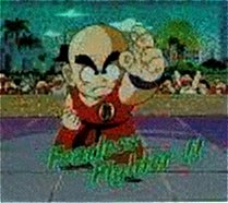 Kuririn_001.jpg (14000 bytes)