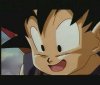 goku096a.jpg (3187 bytes)