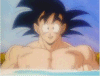 225.gif (34318 bytes)