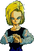 016.gif (15008 bytes)