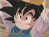 goten029.jpg (9745 bytes)