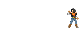 17-1.gif (10859 bytes)