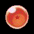 1star.GIF (11812 bytes)