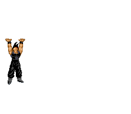 bardock03.gif (10447 bytes)